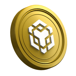 Token de criptomoneda Binance BNB visible en la sección de guía destinada a operadores principiantes